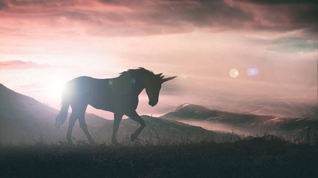 Einhorn bei Sonnenuntergang