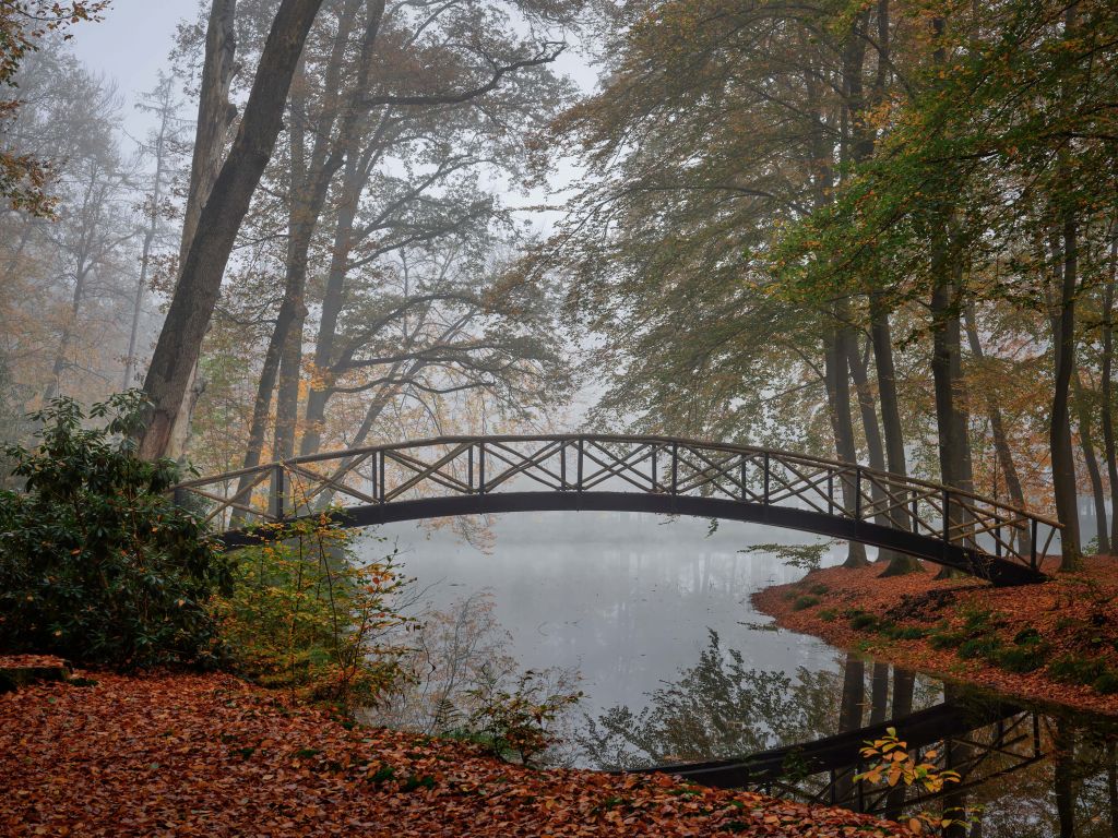 Brücke zwischen den Bäumen