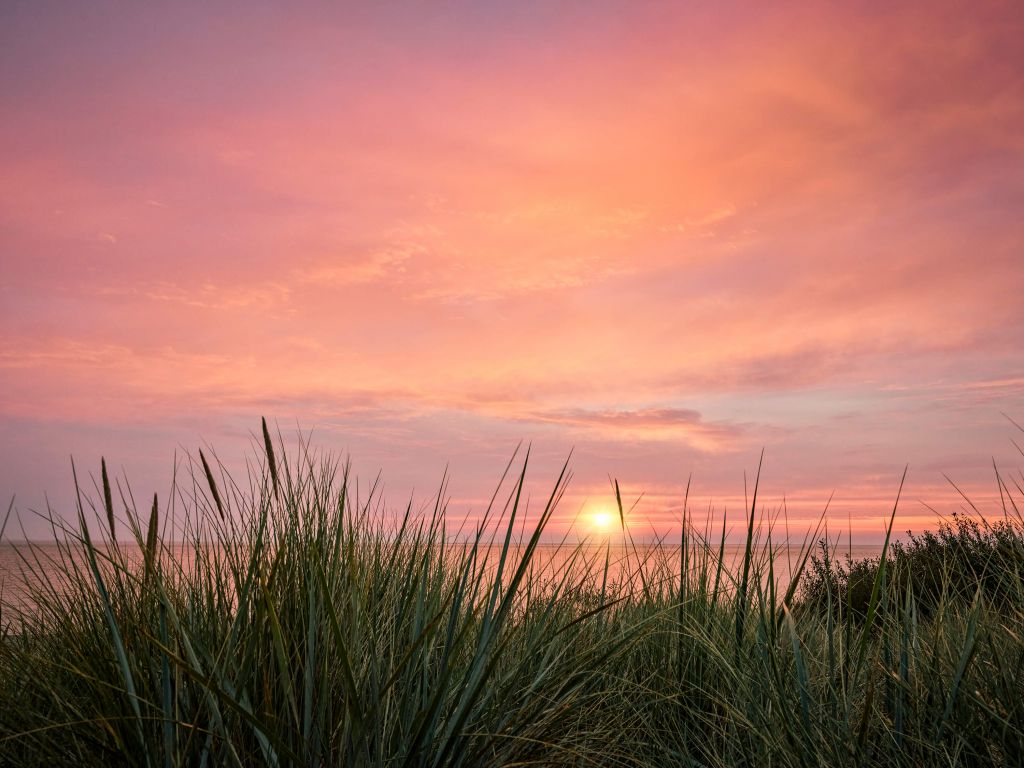 Sonnenaufgang auf See