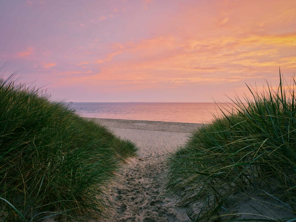 Dünenpassage mit Sonnenaufgang