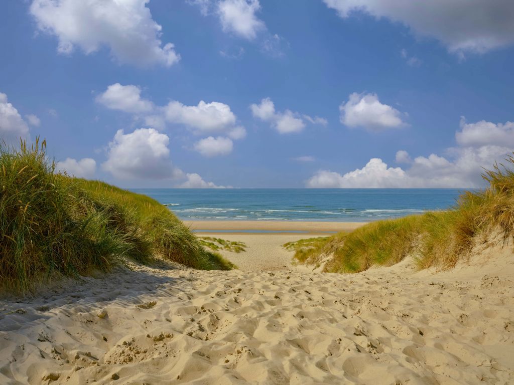 Strandzugang durch die Dünen