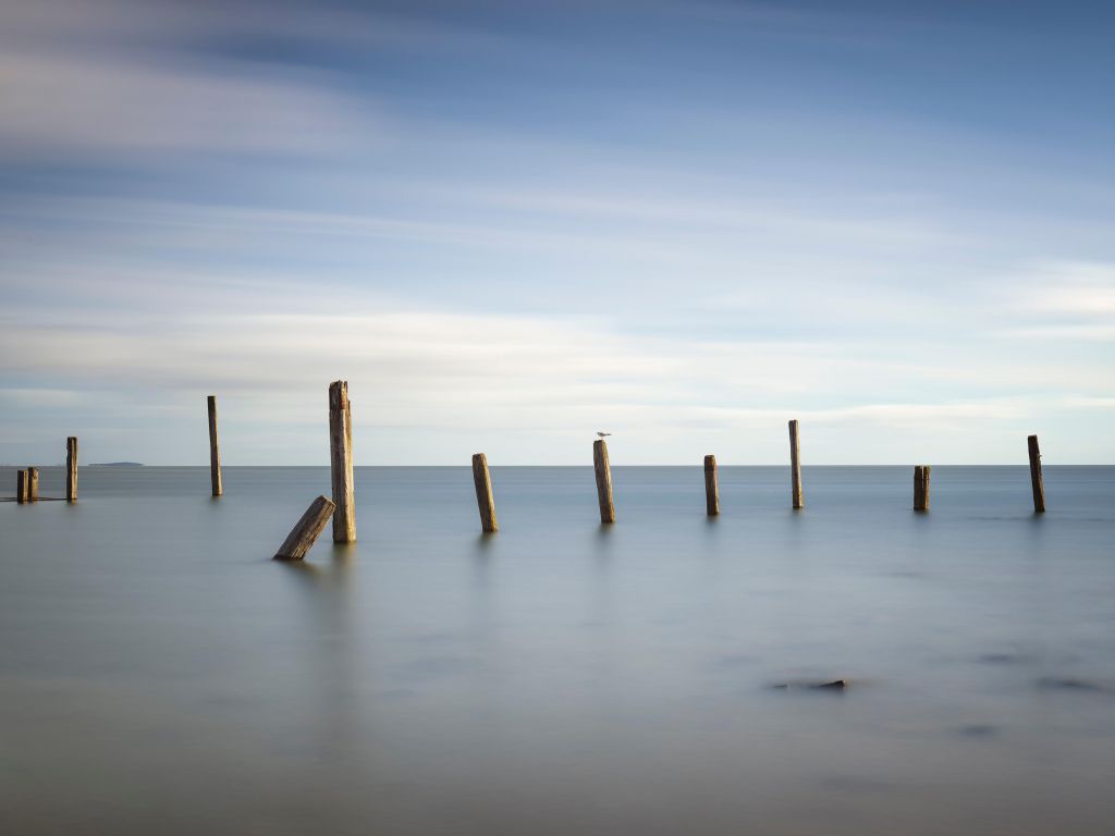 Alte Holzpfähle im Meer