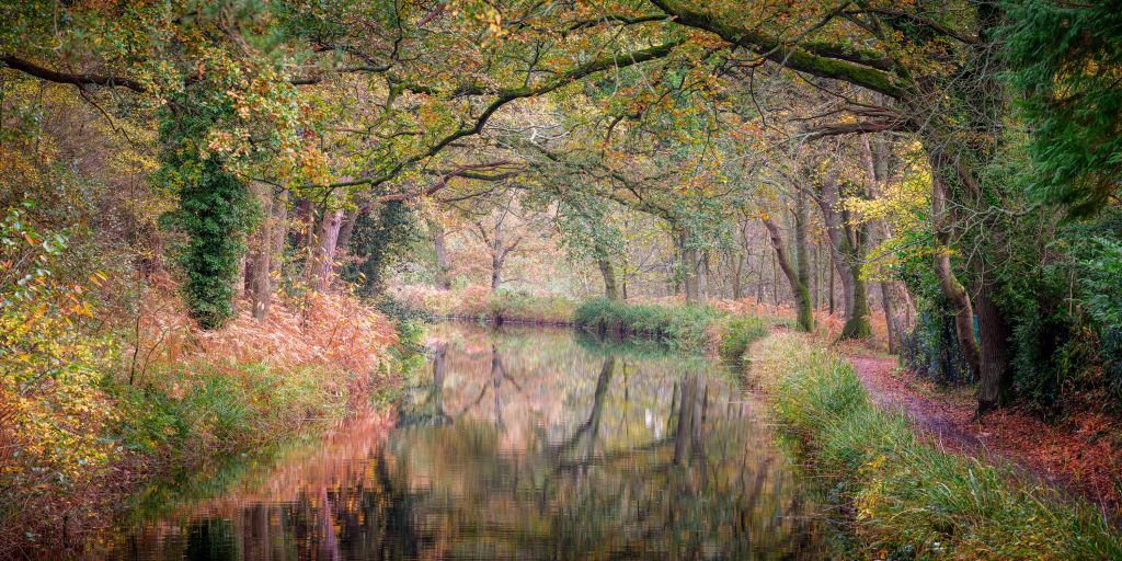 Bedeckter bunter Wald