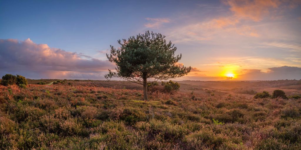 Sonnenuntergang in einer verlassenen Gegend