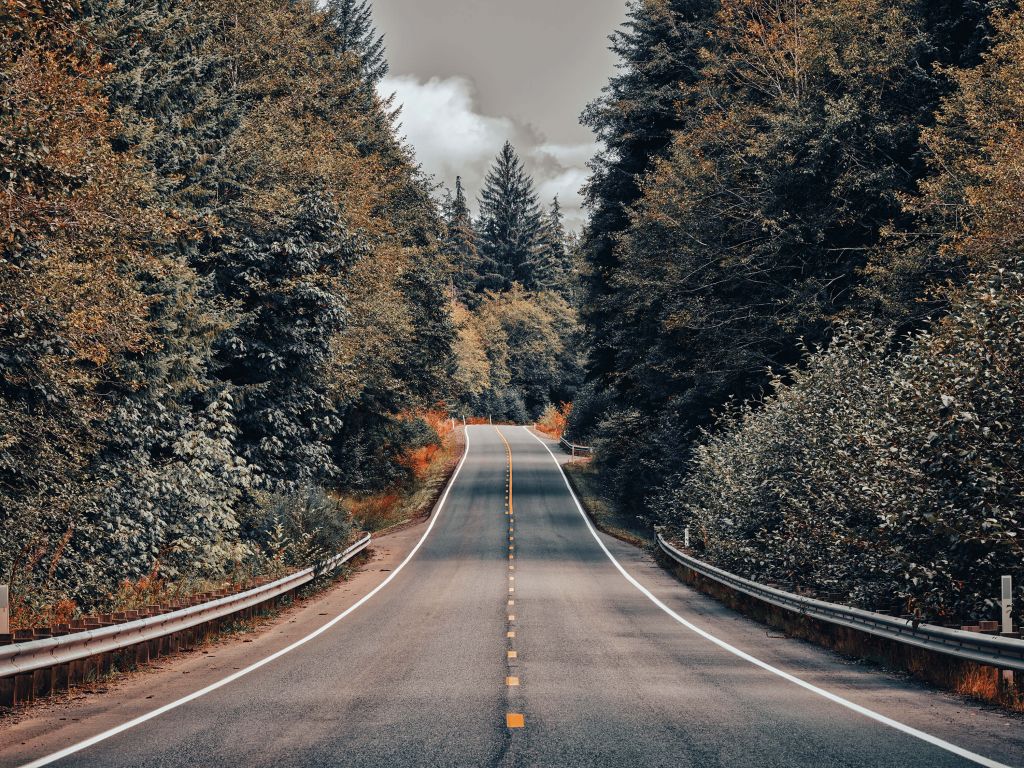 Wald entlang einer Amerikanische Straße