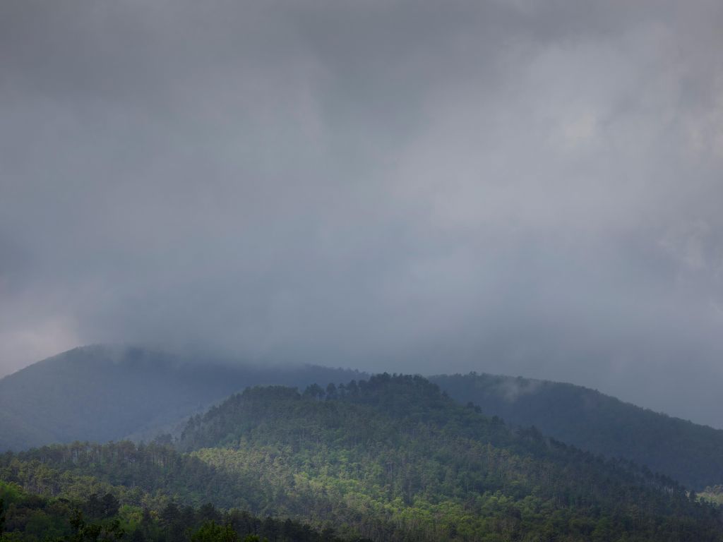 Wolken über Bäumen in den Bergen