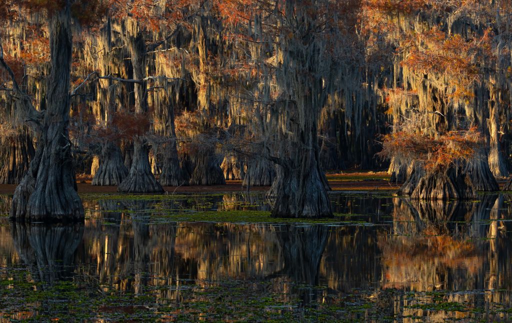 caddo lake