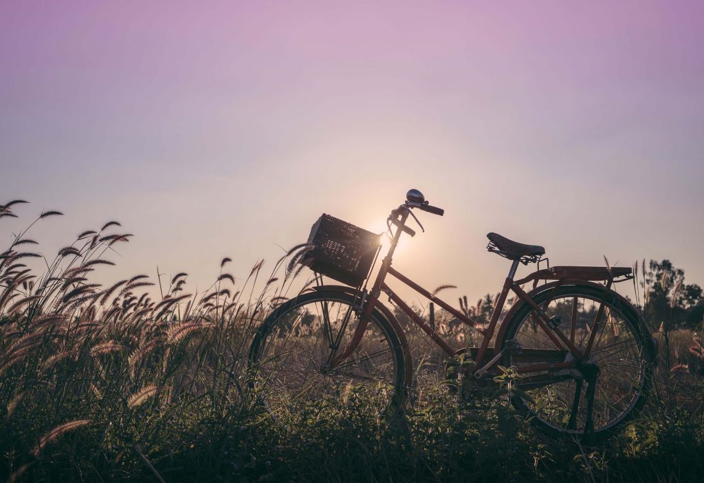 Fahrrad in einem Feld