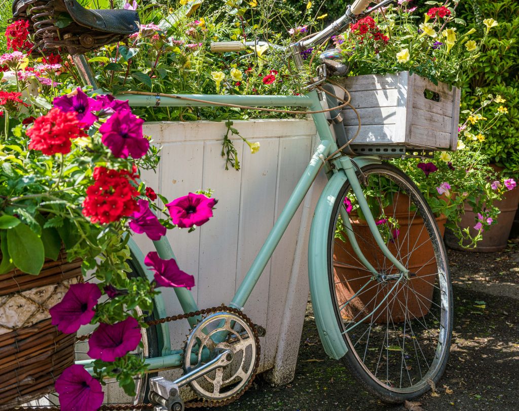 Altes Fahrrad mit Blumen