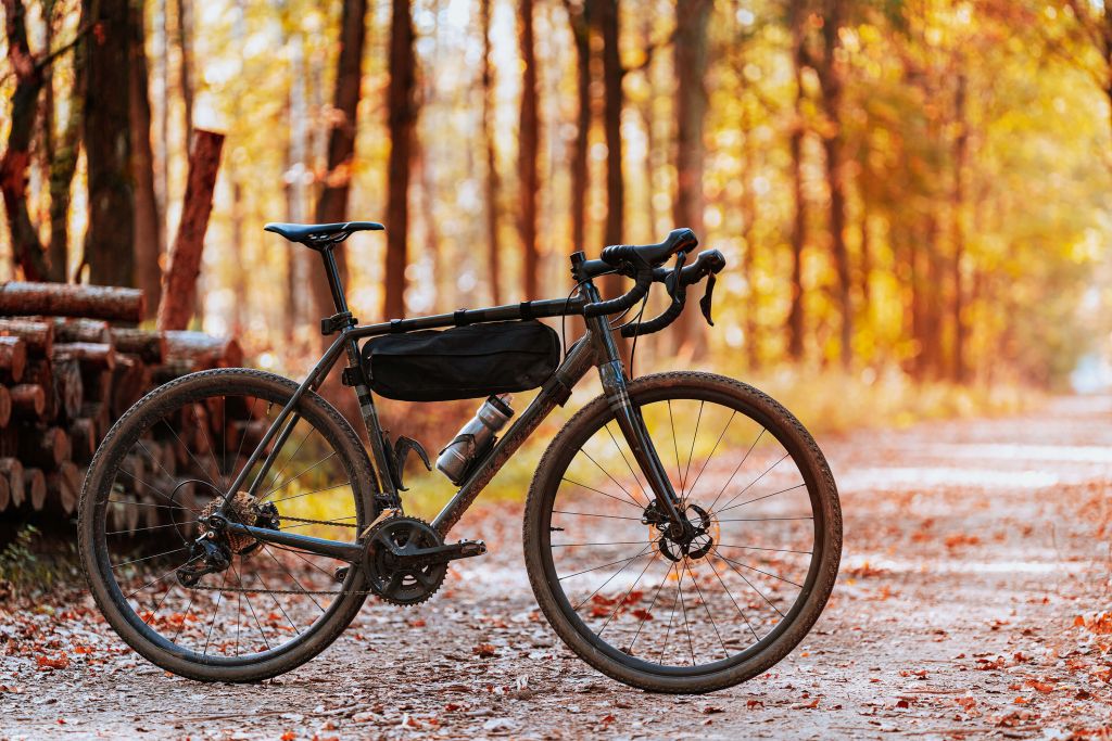 Fahrrad im Herbst