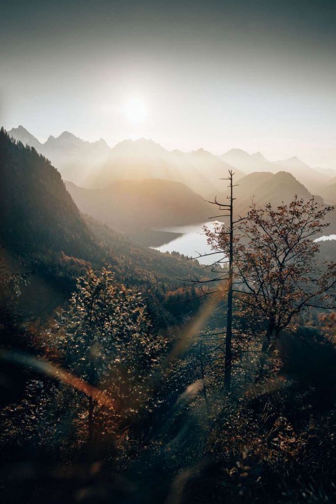 Blick über die Alpen