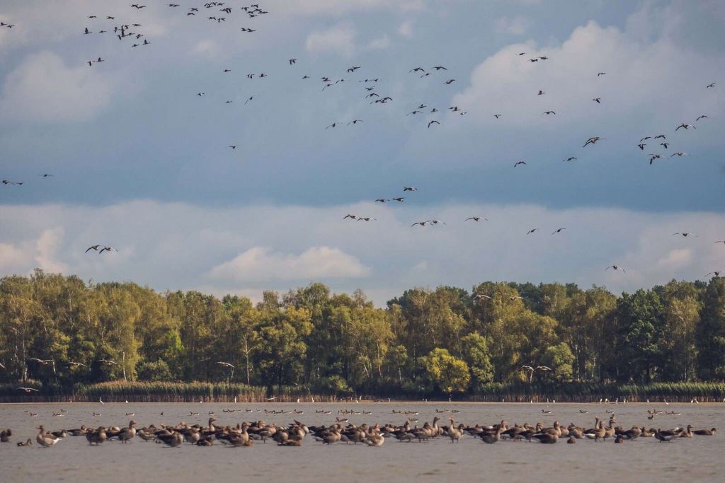 Flug über das Wasser