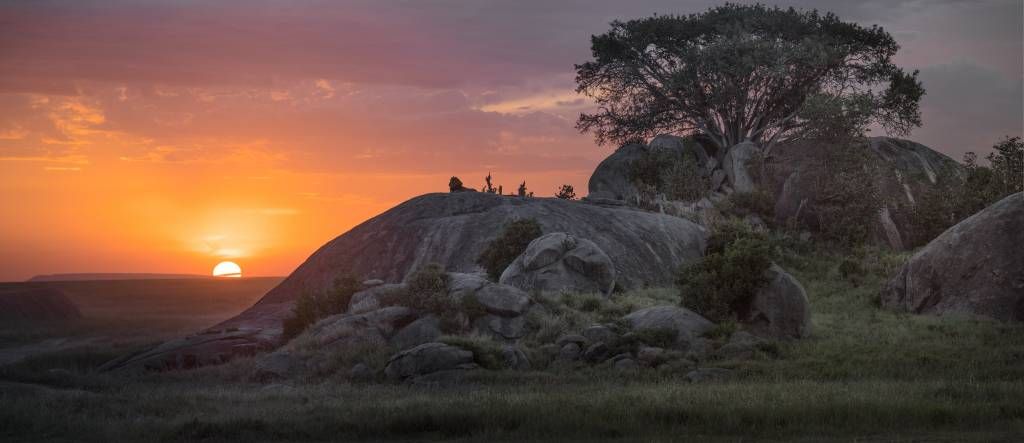 Sonnenuntergang über der Savanne